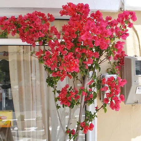 Polizotou Rooms Skala Sotiros Exterior photo